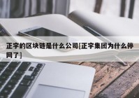 正宇的区块链是什么公司[正宇集团为什么停网了]